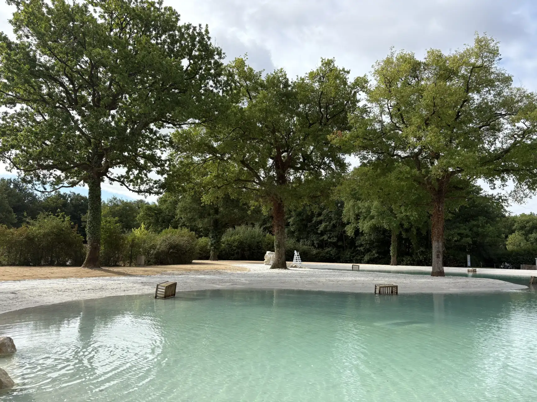 A turquoise lagoon with a white sand beach beneath the canopy of mature oak trees, dappled shade on the water
