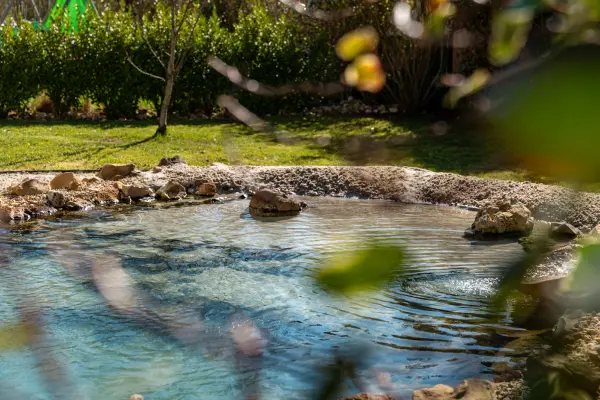 A garden-integrated lagoon showing a warm sand tone choice, lush planting framing the water
